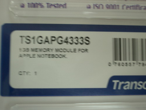 IMGP6117_resize.JPG
