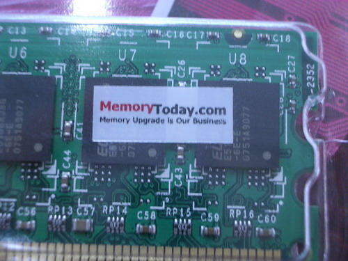 IMGP6126.JPG