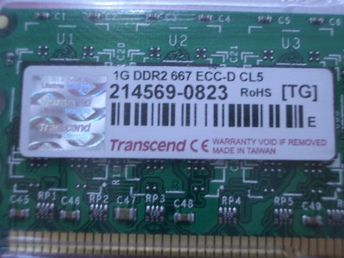 IMGP6127.JPG