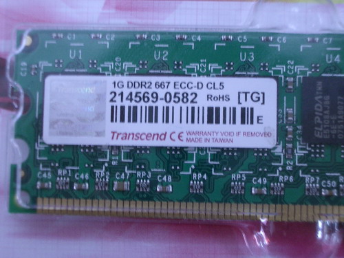 IMGP6147.JPG