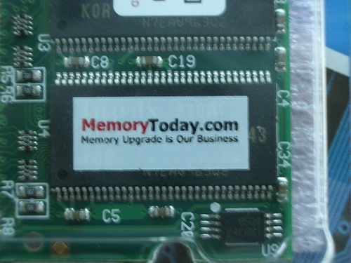 IMGP6153.JPG