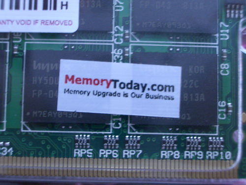 IMGP6157.JPG