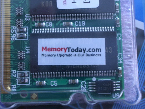 IMGP6161.JPG