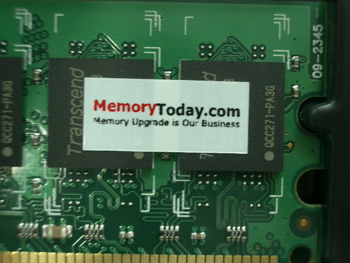 IMGP6171.JPG