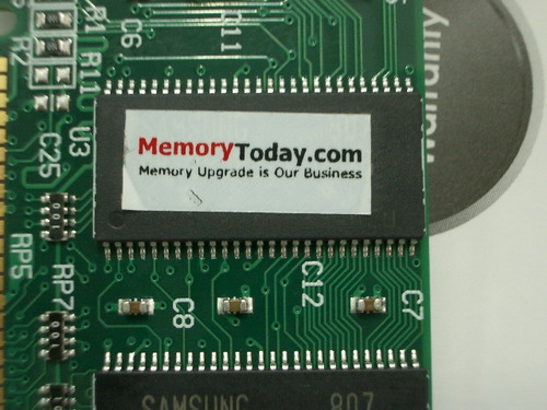 IMGP6179.JPG