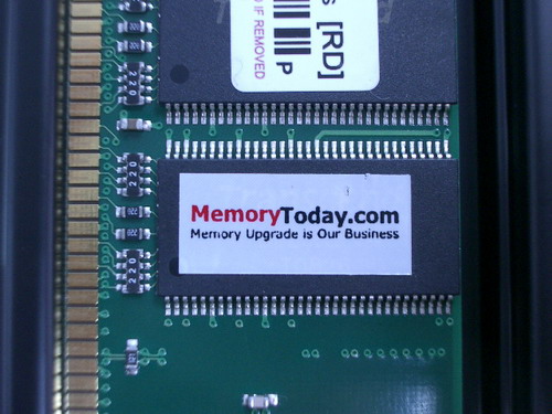IMGP6195.JPG