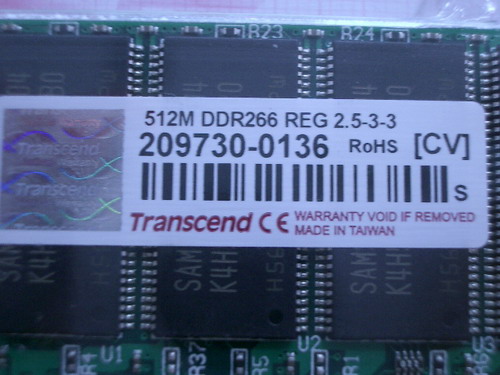 IMGP6211.JPG