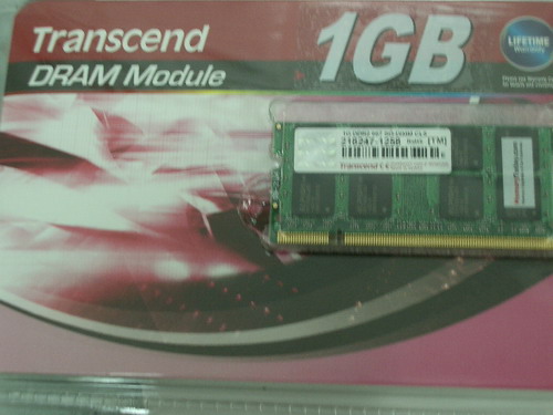 IMGP6218.JPG