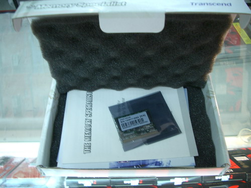 IMGP6219_resize.JPG