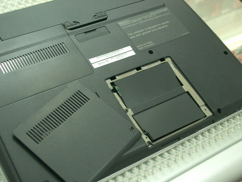 IMGP6234.JPG