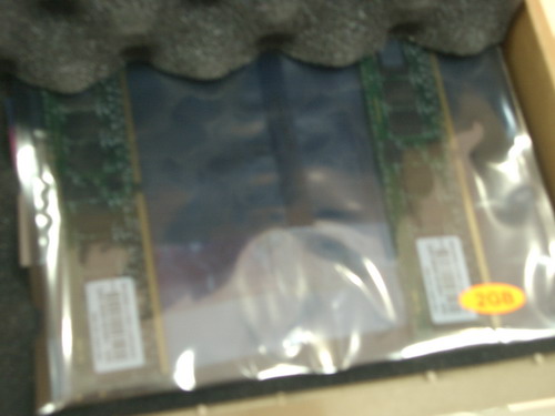 IMGP6249.JPG