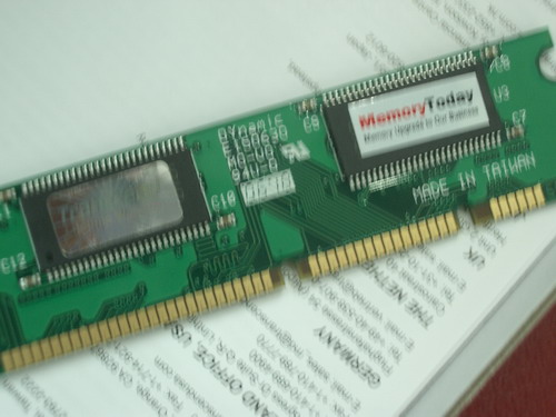 IMGP6274.JPG