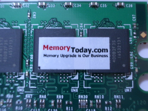 IMGP6307.JPG
