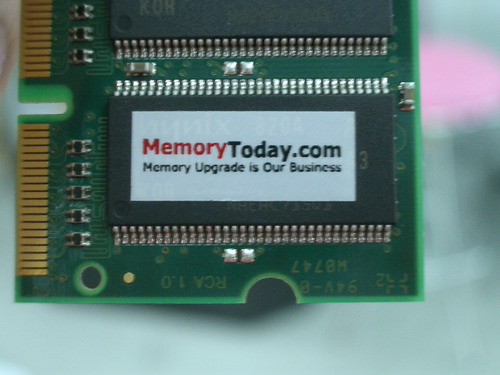 IMGP6325.JPG