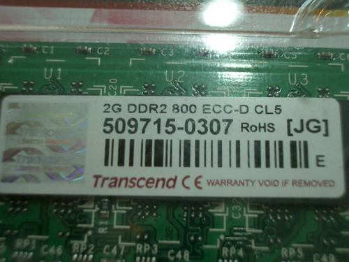 IMGP6364.JPG