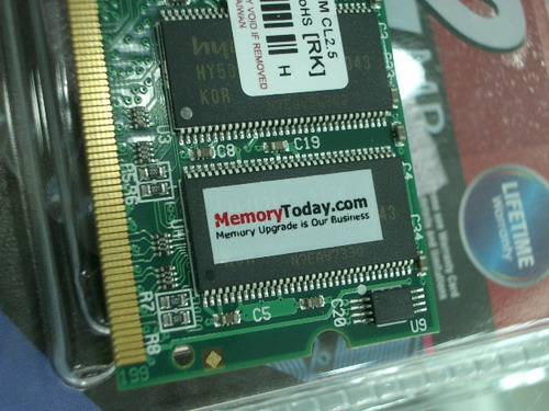 IMGP6379.JPG