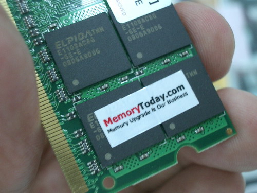 IMGP6390.JPG
