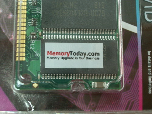 IMGP6391.JPG