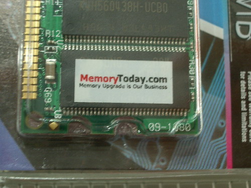 IMGP6394.JPG