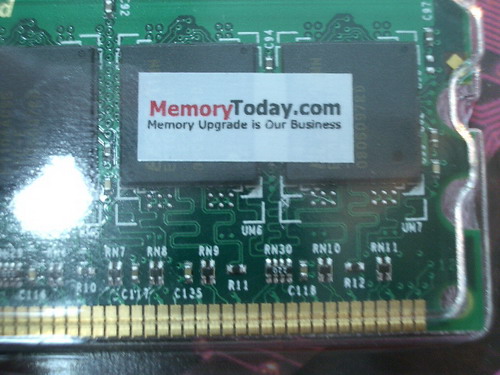 IMGP6407.JPG
