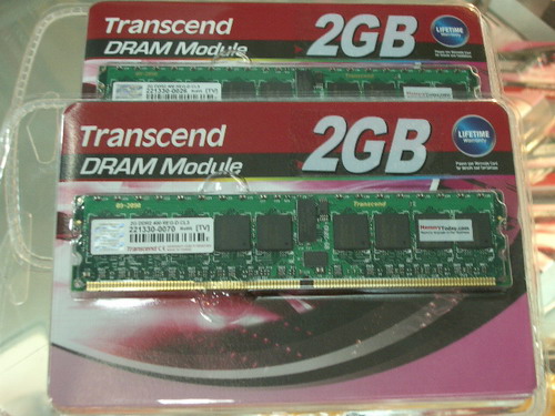 IMGP6425.JPG