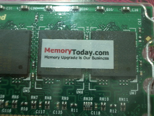 IMGP6433.JPG