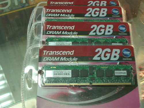 IMGP6438.JPG