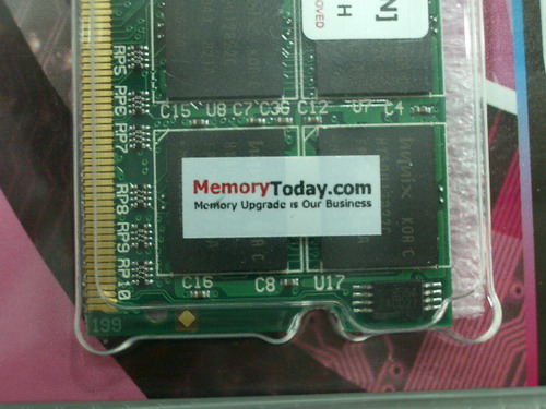 IMGP6468.JPG
