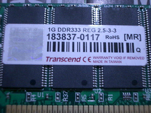 IMGP6486.JPG