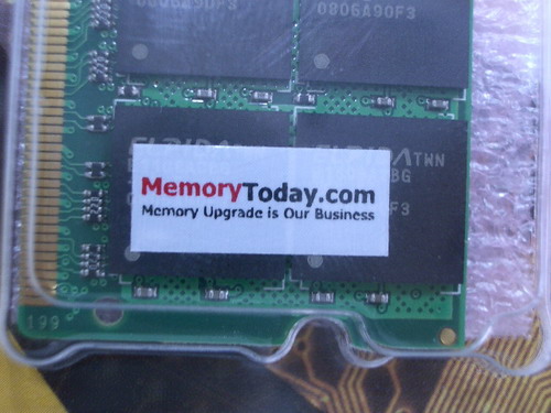 IMGP6511.JPG
