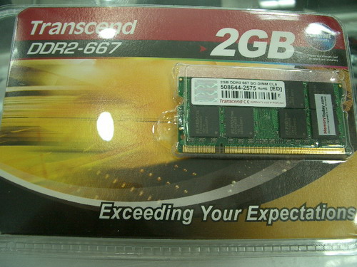 IMGP6513.JPG