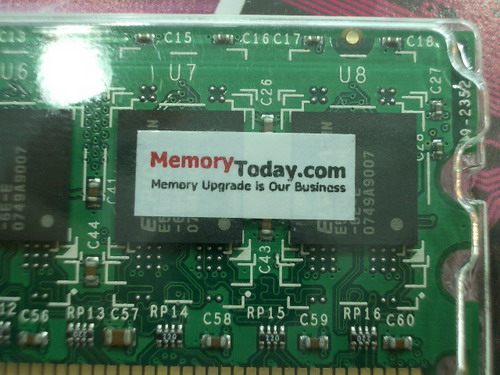 IMGP6535.JPG