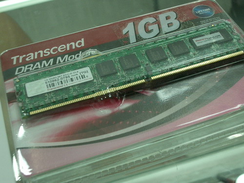 IMGP6537.JPG
