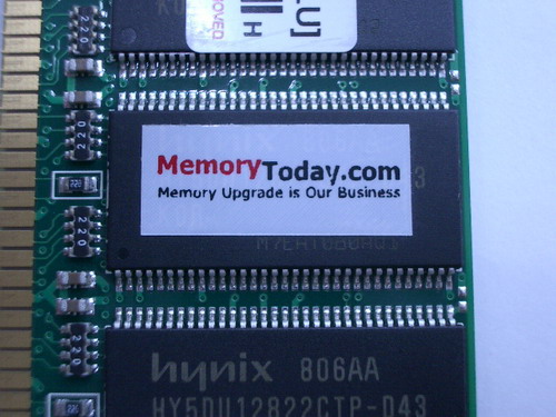 IMGP6549.JPG
