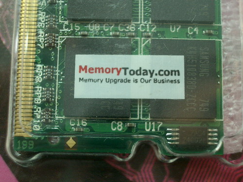 IMGP6579.JPG