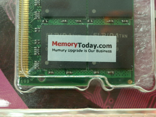 IMGP6587.JPG