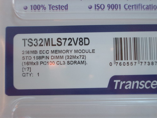 IMGP6595.JPG