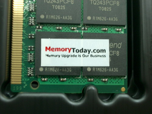 IMGP6600.JPG