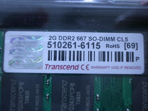 IMGP6601.JPG