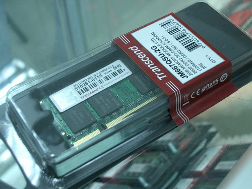 IMGP6604.JPG