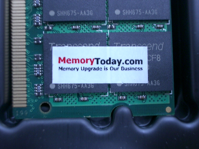 IMGP6618.JPG
