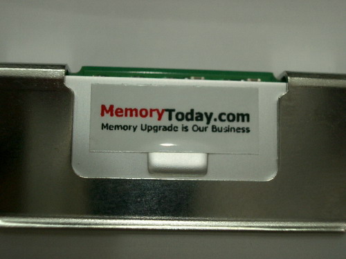 IMGP6634.JPG