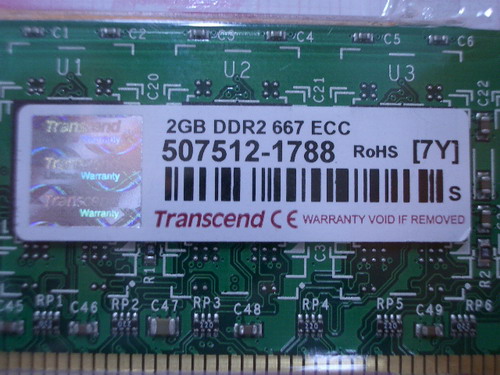 IMGP6653.JPG