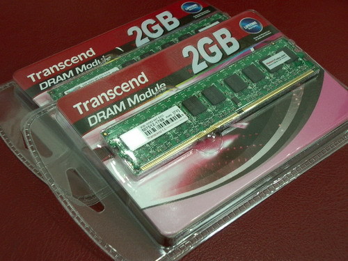 IMGP6655.JPG