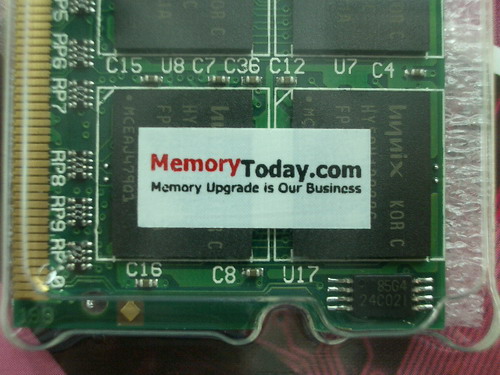 IMGP6695.JPG