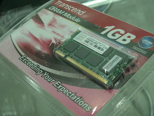IMGP6699.JPG