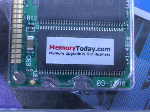 IMGP6703.JPG