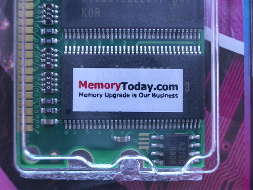 IMGP6710.JPG