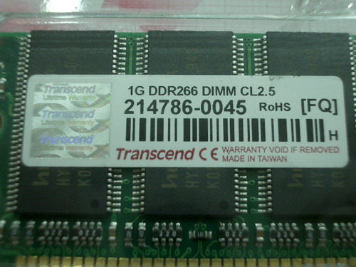 IMGP6713.JPG