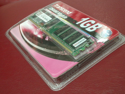 IMGP6715.JPG
